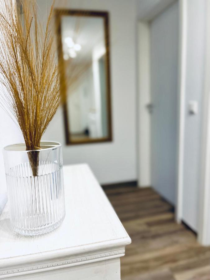 Modernes 3 Zimmer Apartment - Luise- Mit Wlan, Balkon Und Smart-Tv In City-Nahe! Erfurt Eksteriør bilde